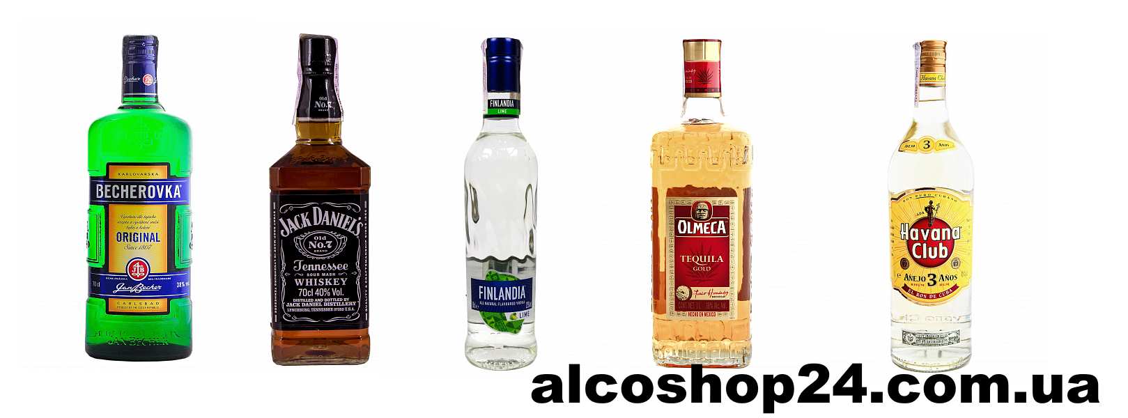 alco1.jpg