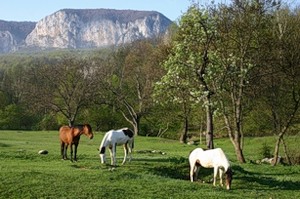 Турбаза «Большой Каньон» Соколиное, Крым