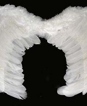 Крылья Ангела белые - 53х37см