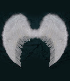Большие крылья ангела.jpg