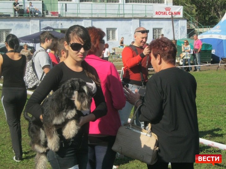 Национальная выставка собак на стадионе «Старт»