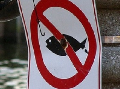 Сроки запрета на лов рыбы в период нереста